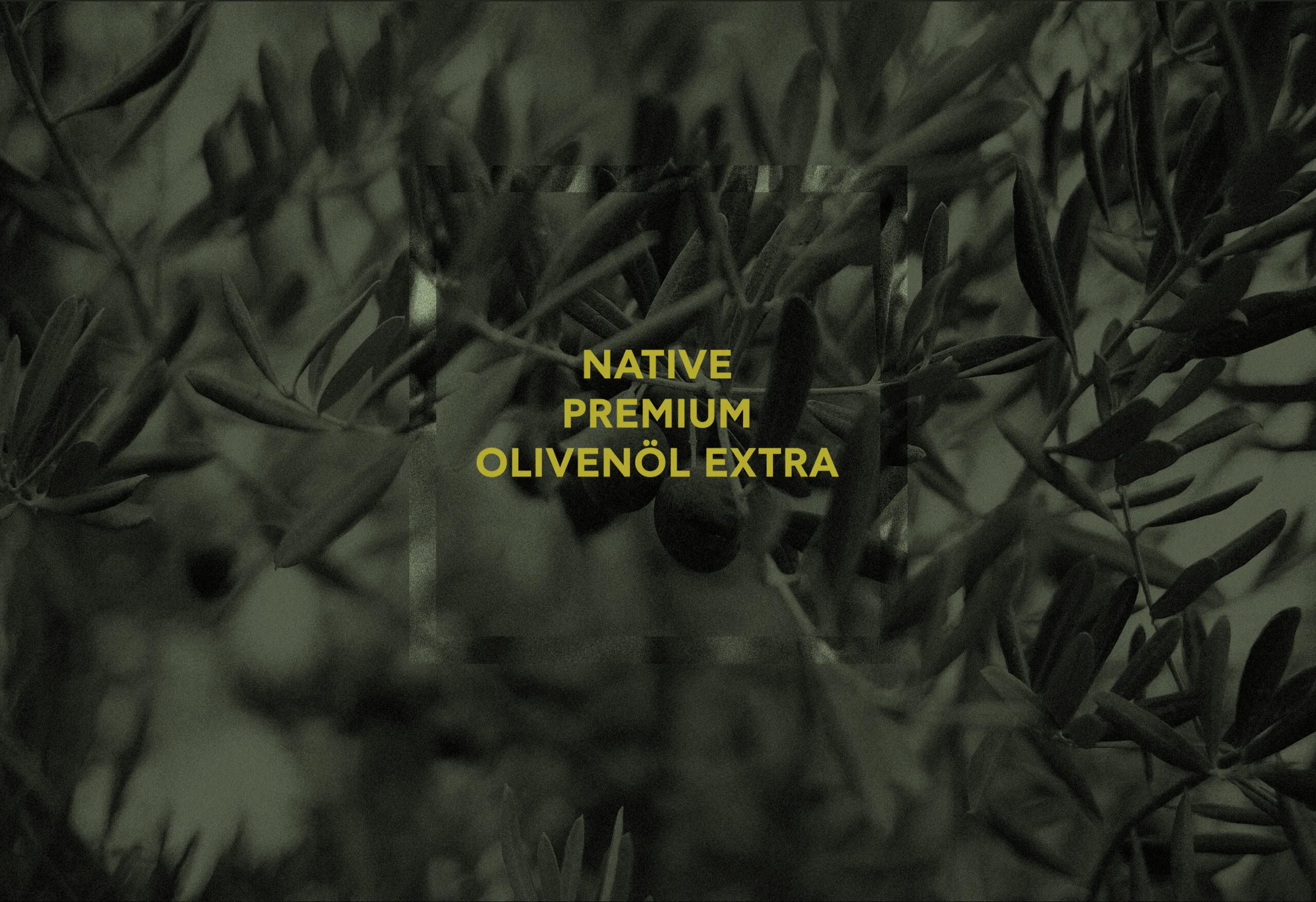 topolia olive oil branding image 4