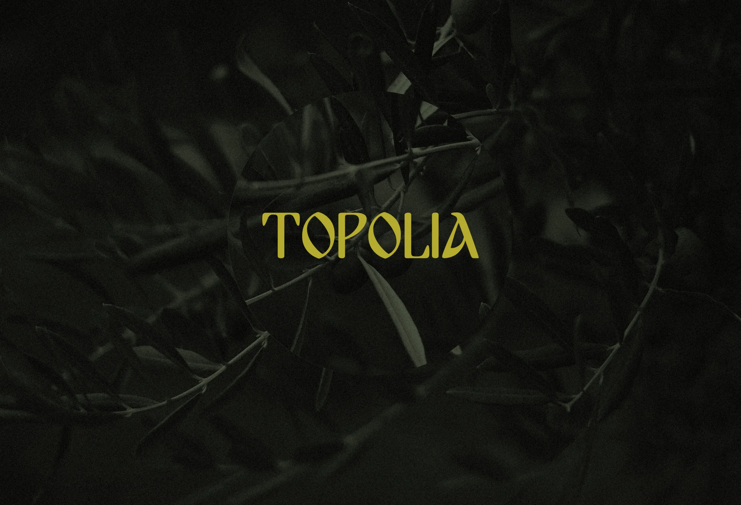 Topolia Olive Oil Branding Hero Image