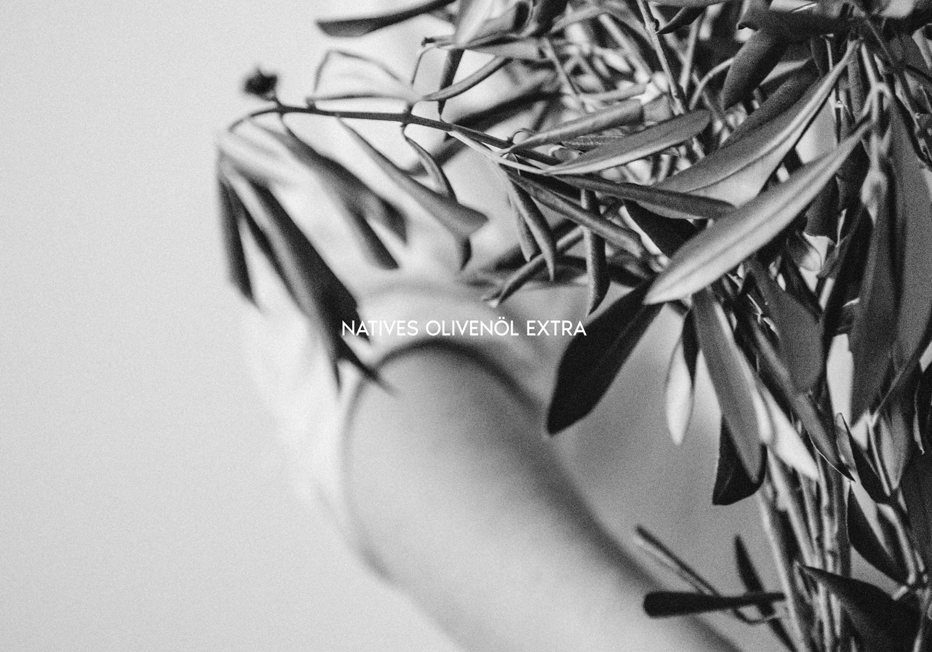 Julia Olive Oil Image 9