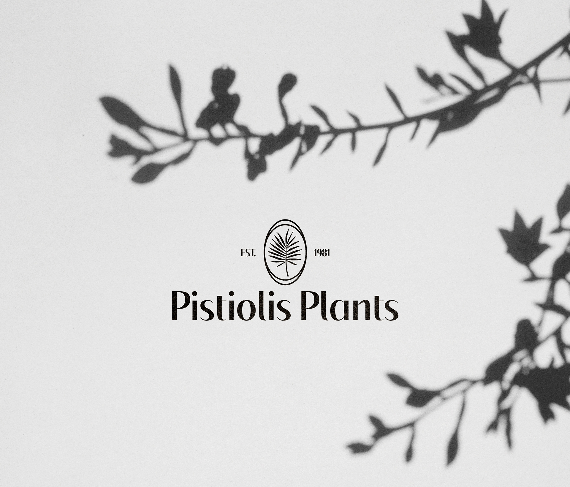 Pistiolis Plants