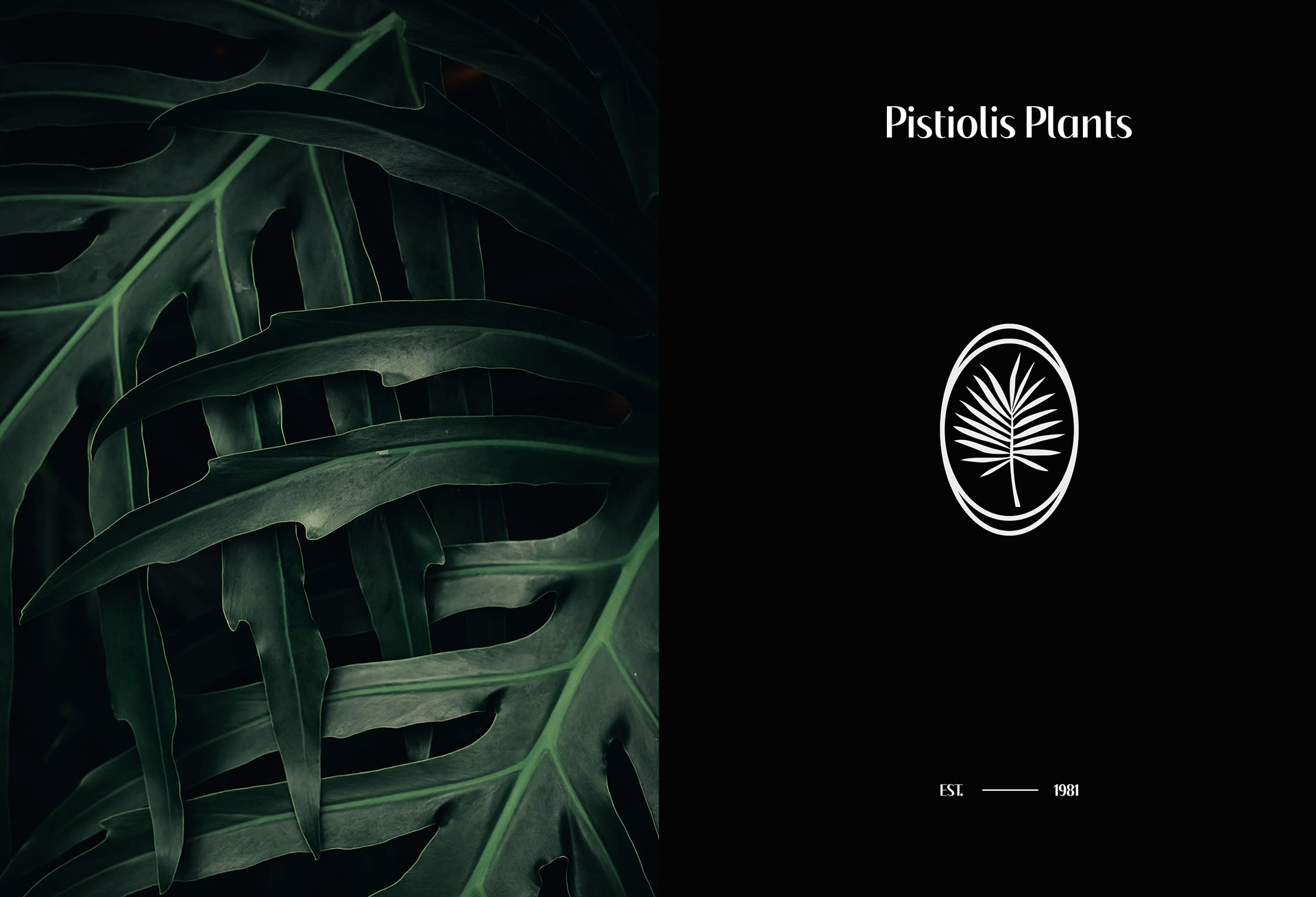 pistiolis flowers logotype