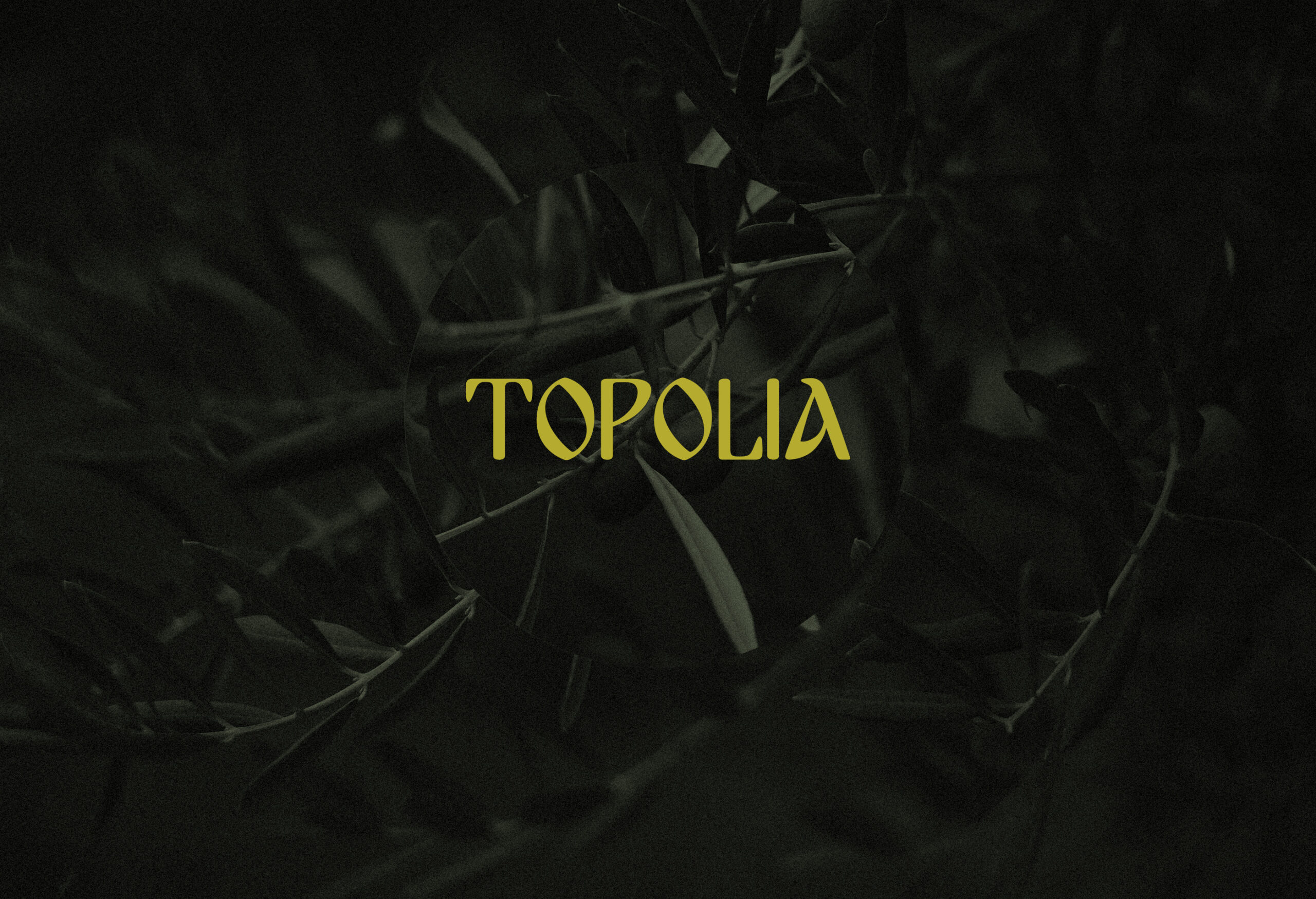 topolia olive oil logotype design