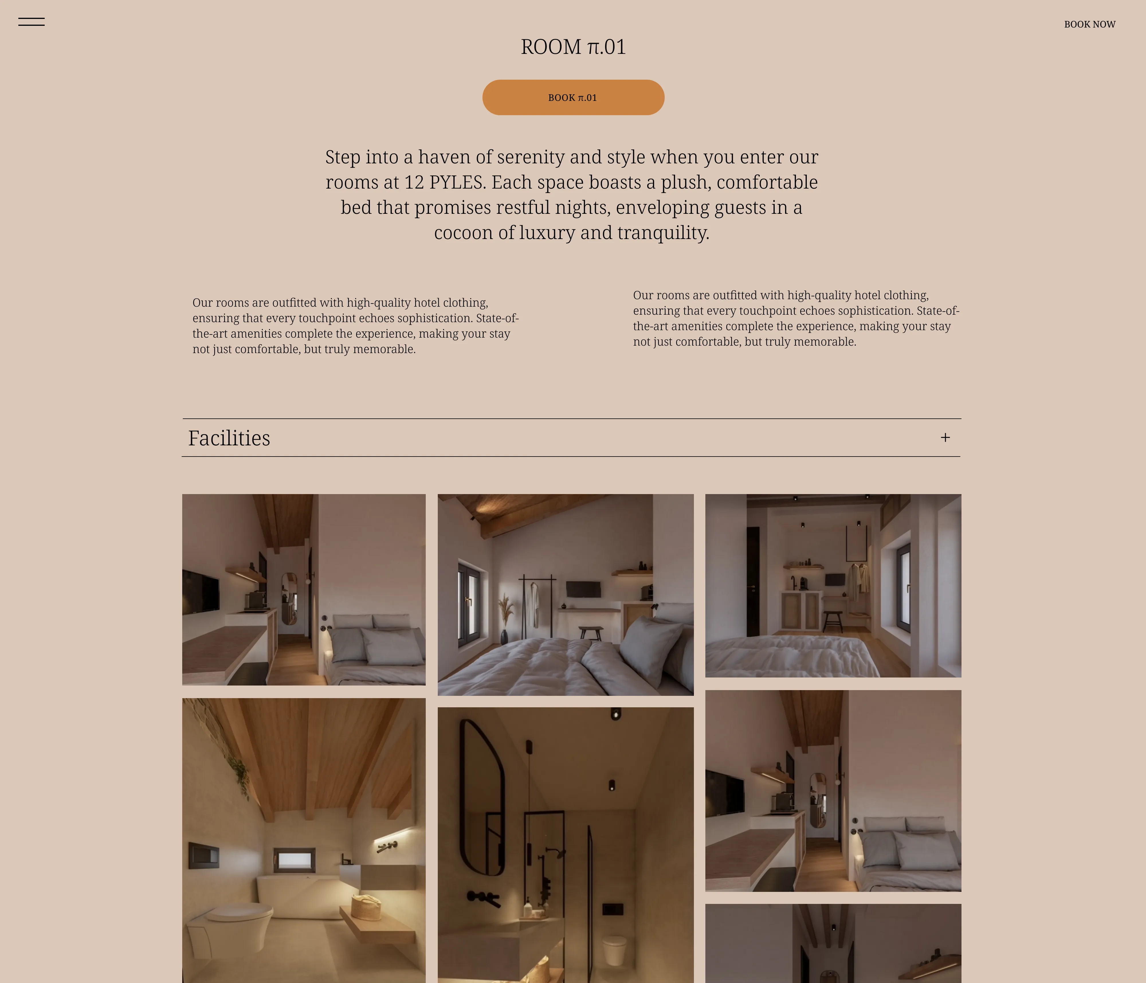 12pyles hotel website Ioannina room page inside image