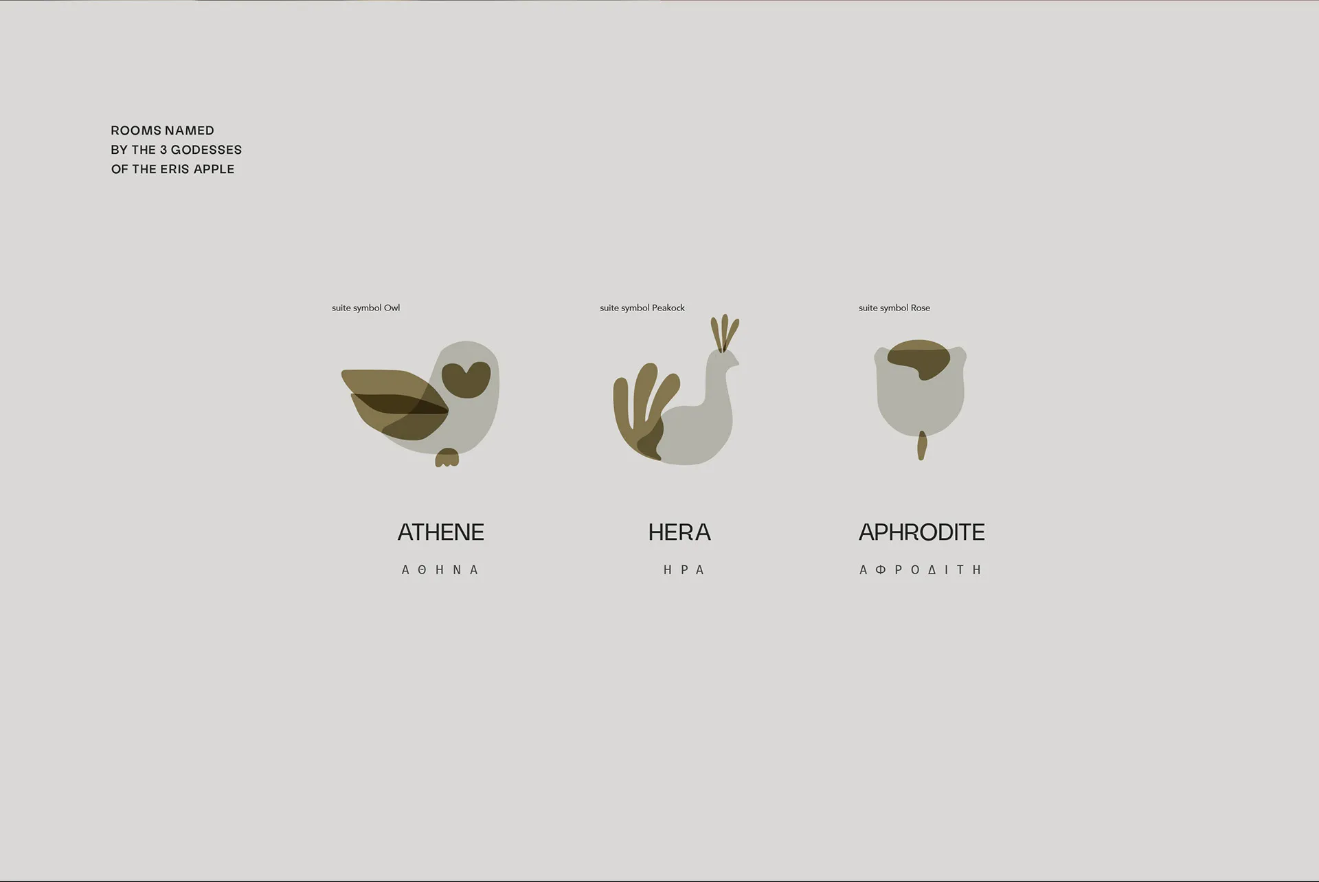 peliva-image-7